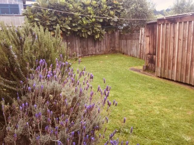 Mollies Place - Waihi Beach Holiday Unit Ngoại thất bức ảnh